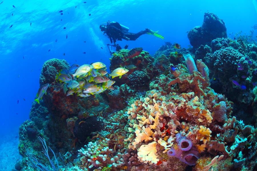 Cozumel